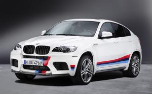 BMW X6 M Performance Accessories 2011 года